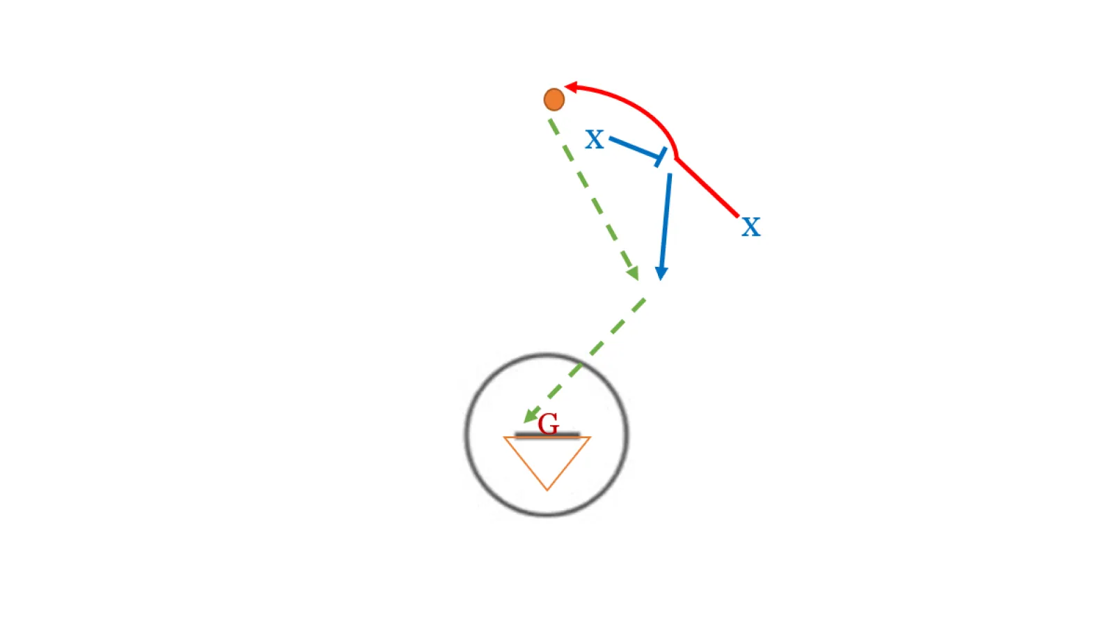 How to Teach the Pick and Roll with Finish in Lacrosse