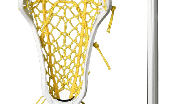 Gait Whip 2 Flex Mesh Complete Stick: Built for Control, Deception, and Quick Release
